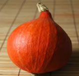 Potimarron